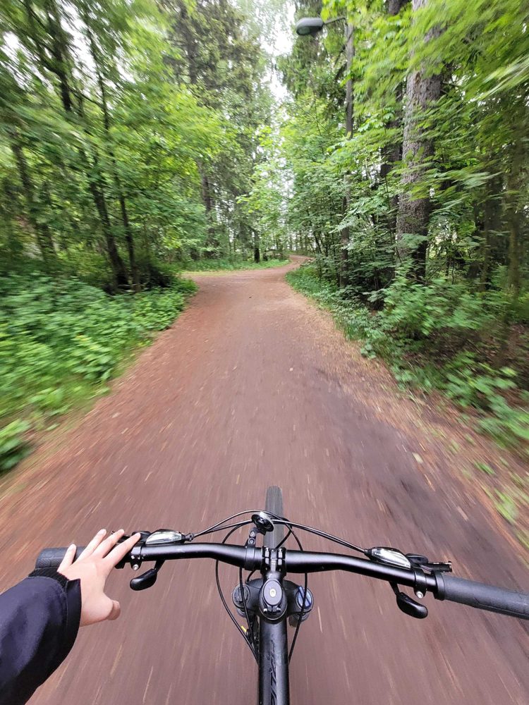 mountain bike trail